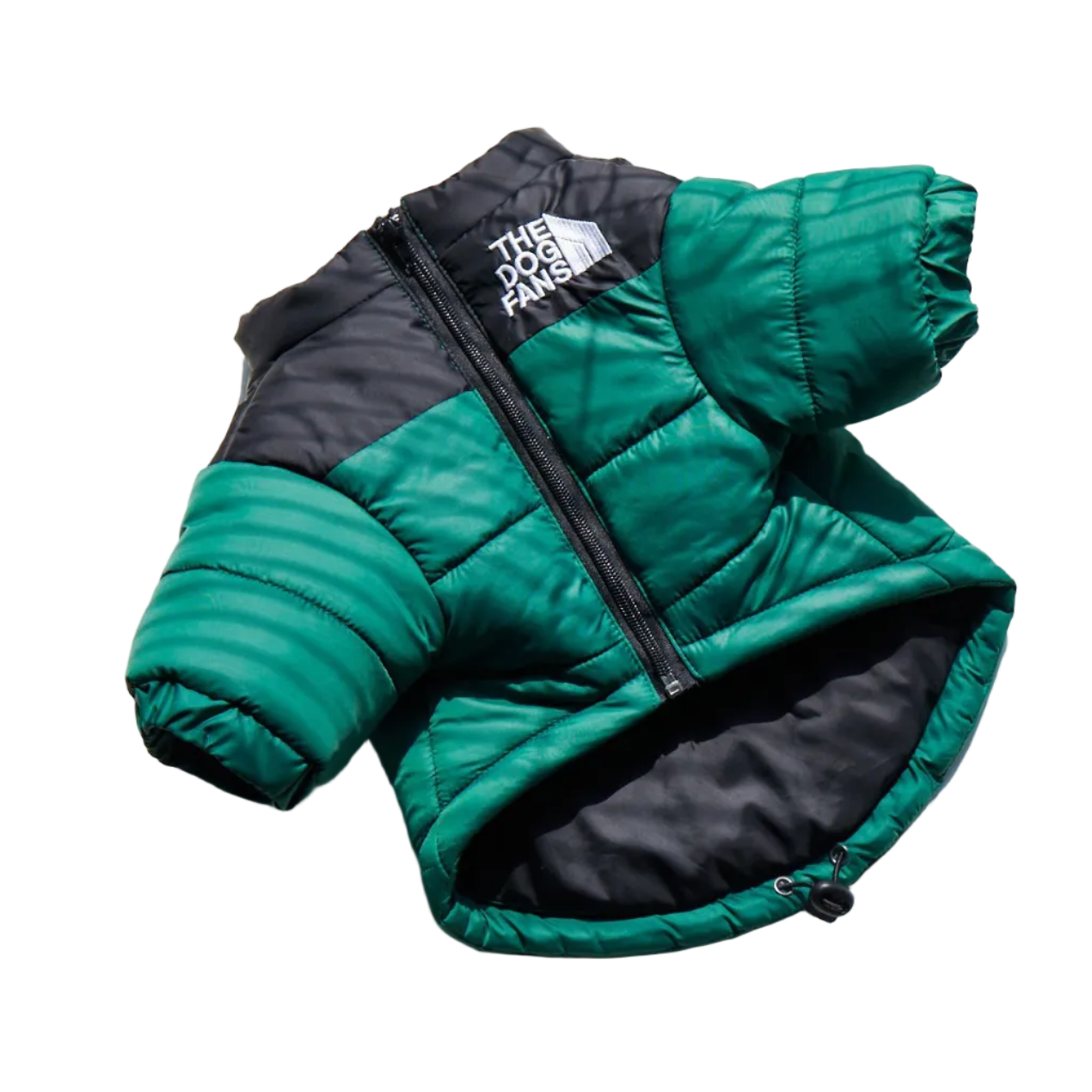 All-Weather Dog Jacket: Padded, Water-Resistant