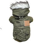Padded Dog Coat: Cotton-Lined, Small Breeds
