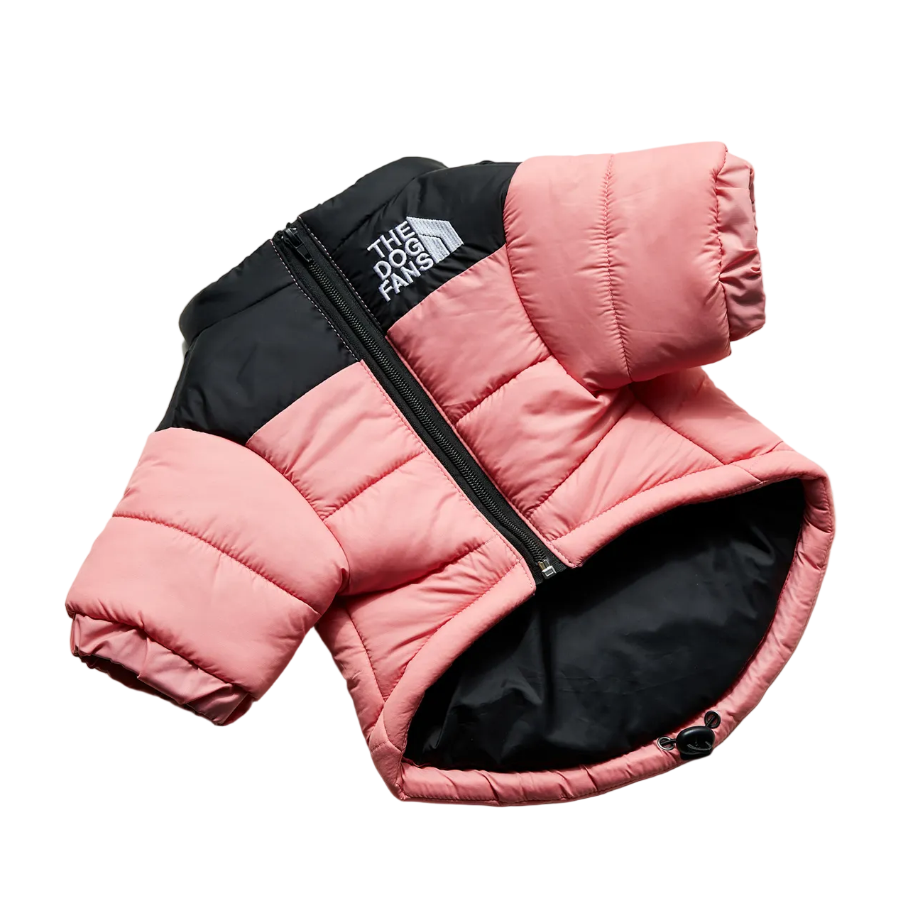 All-Weather Dog Jacket: Padded, Water-Resistant