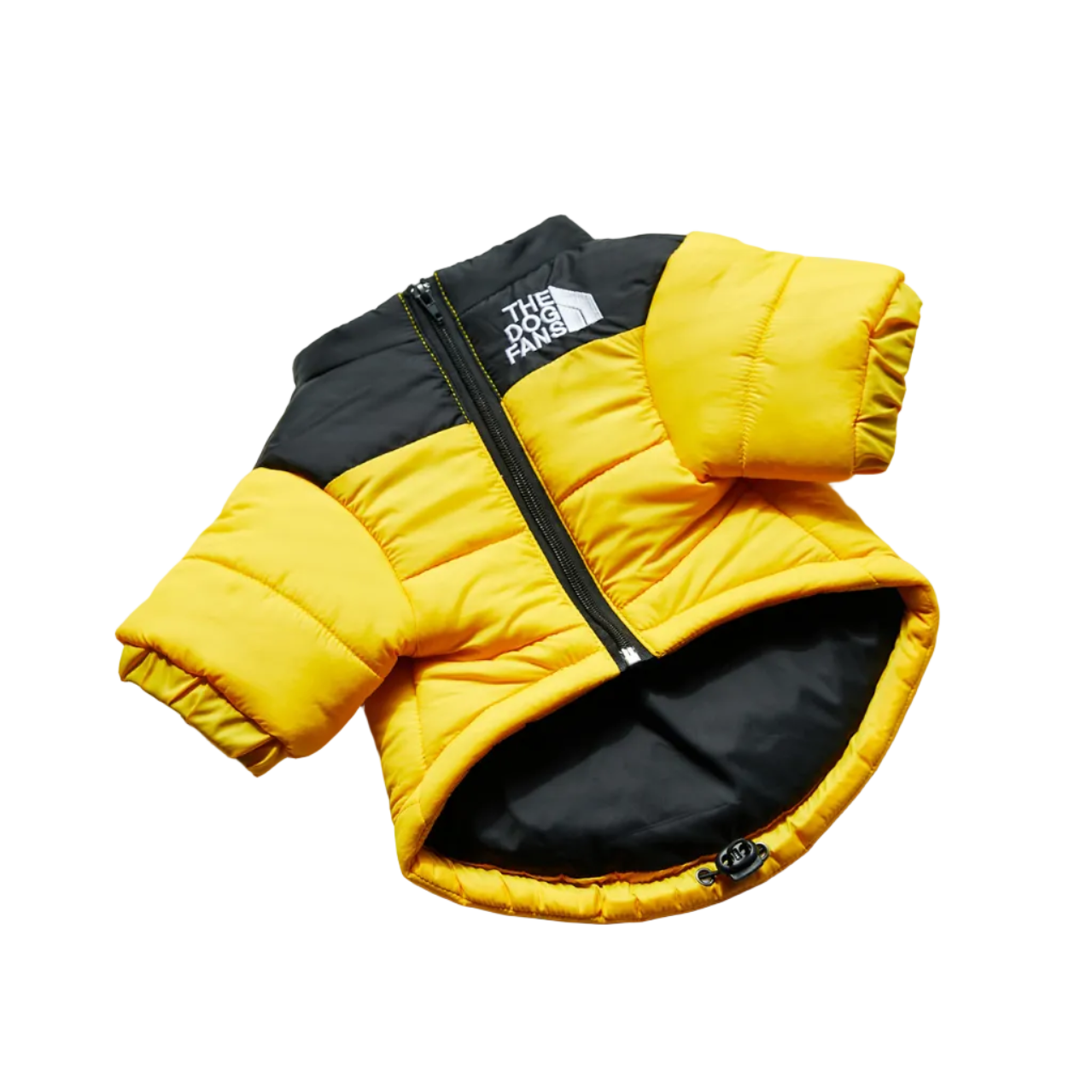All-Weather Dog Jacket: Padded, Water-Resistant