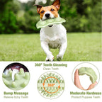 Tough Dog Chew Ball: Bite-Resistant