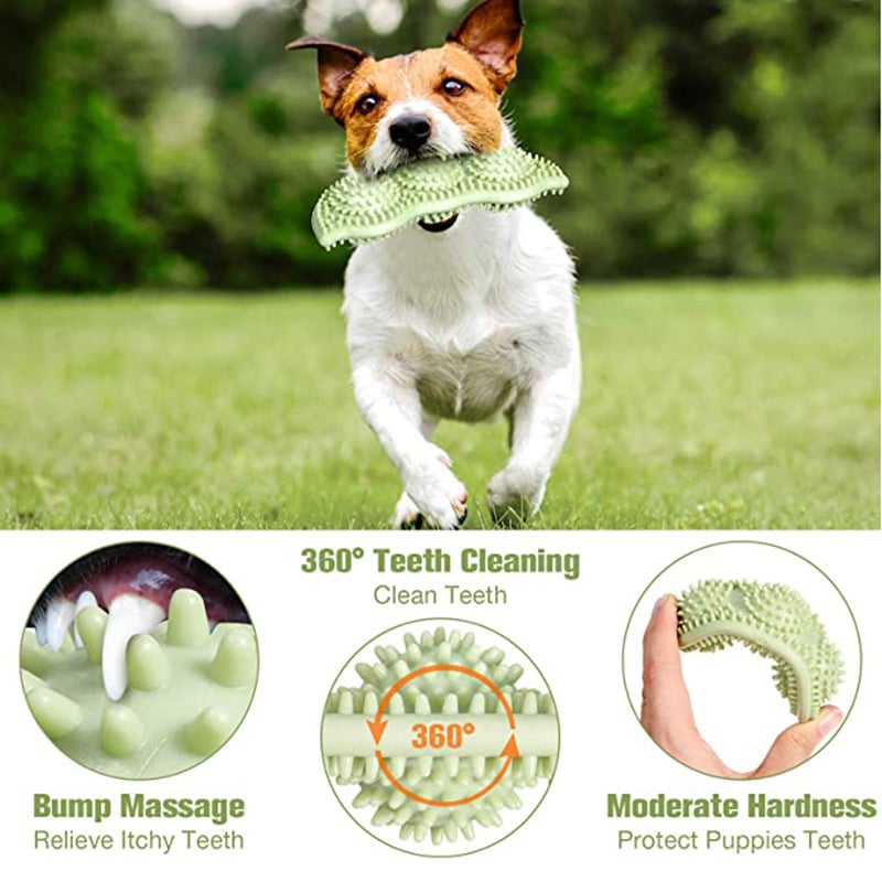 Tough Dog Chew Ball: Bite-Resistant