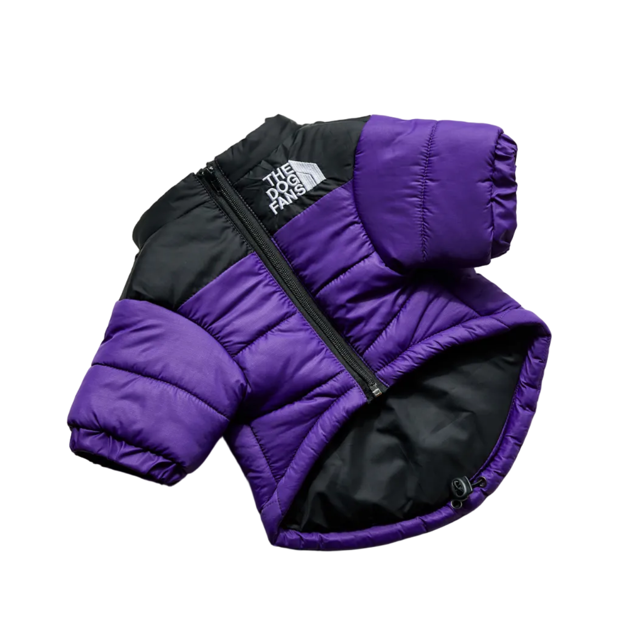 All-Weather Dog Jacket: Padded, Water-Resistant