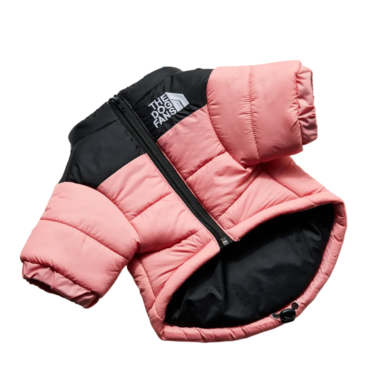 All-Weather Dog Jacket: Padded, Water-Resistant