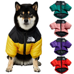 All-Weather Dog Jacket: Padded, Water-Resistant