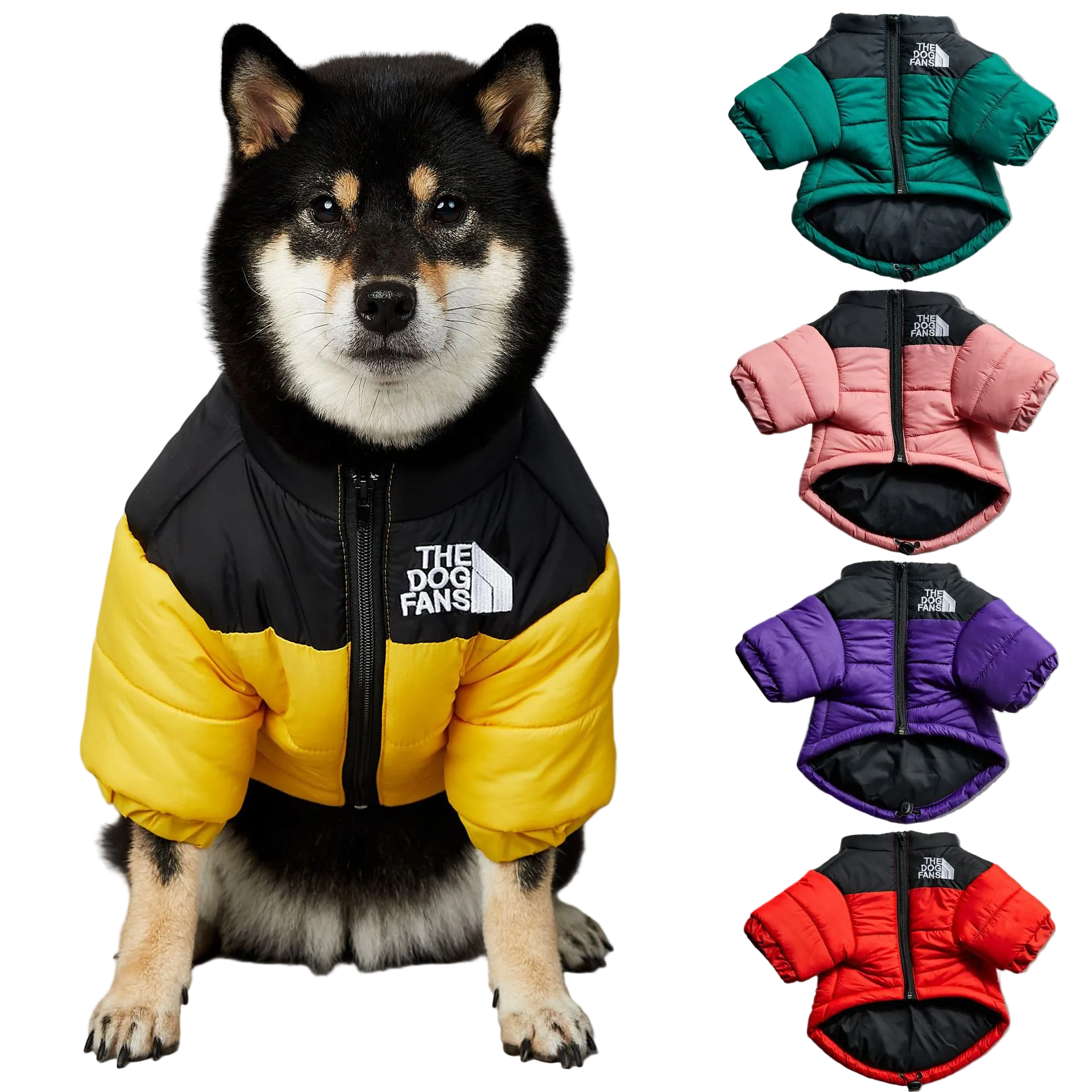 All-Weather Dog Jacket: Padded, Water-Resistant