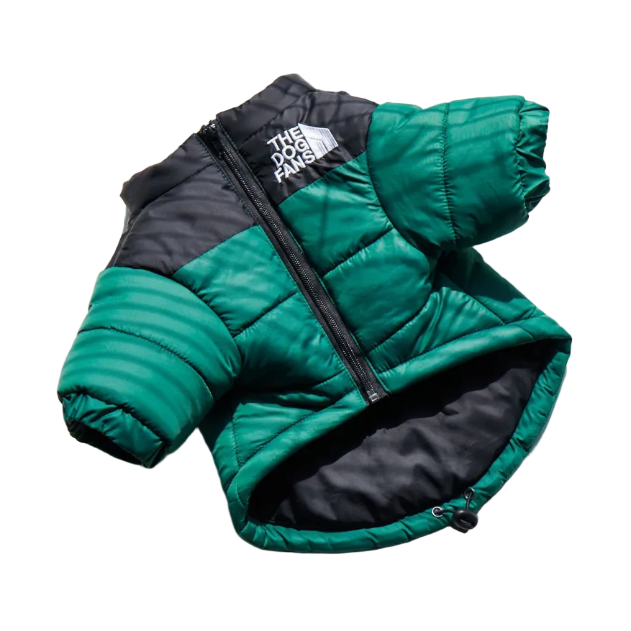 All-Weather Dog Jacket: Padded, Water-Resistant