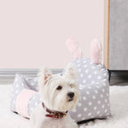 Everyday Dog Bed: Washable Cushion