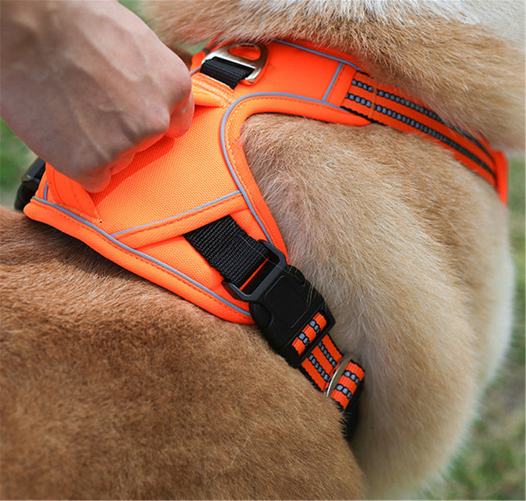 No-Pull Dog Harness: Padded, Control Handle