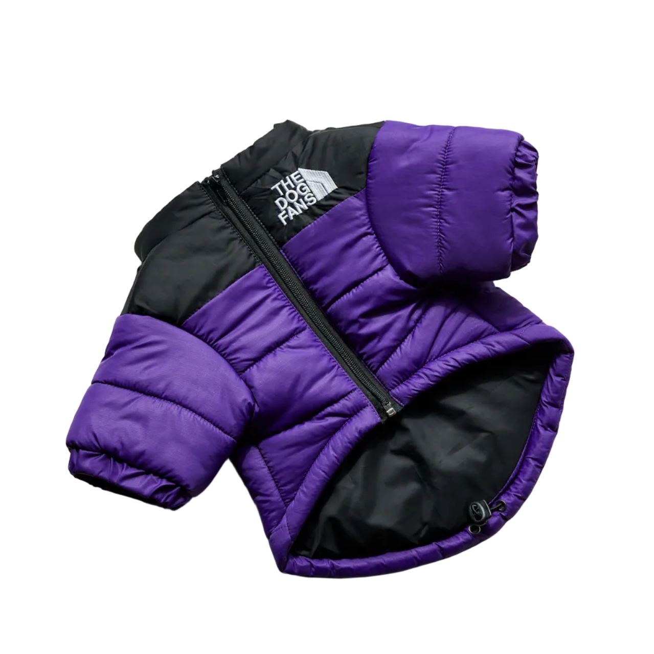 All-Weather Dog Jacket: Padded, Water-Resistant