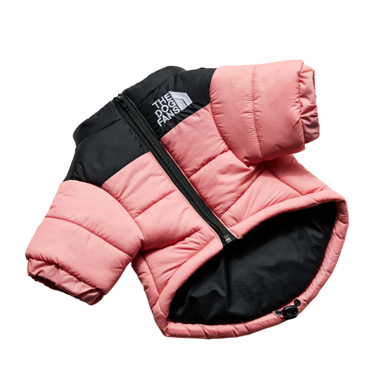 All-Weather Dog Jacket: Padded, Water-Resistant