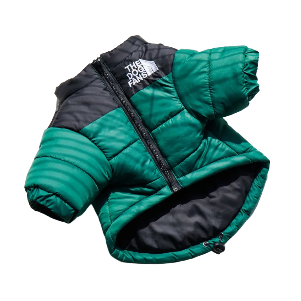 All-Weather Dog Jacket: Padded, Water-Resistant