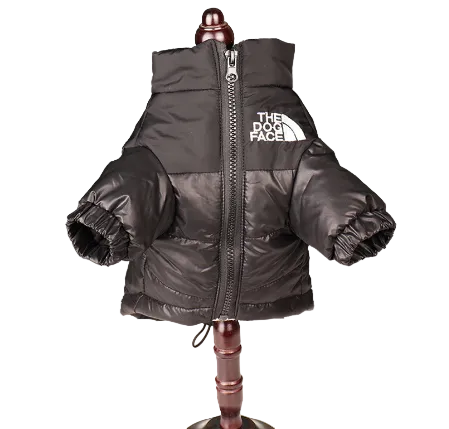 All-Weather Dog Jacket: Padded, Water-Resistant