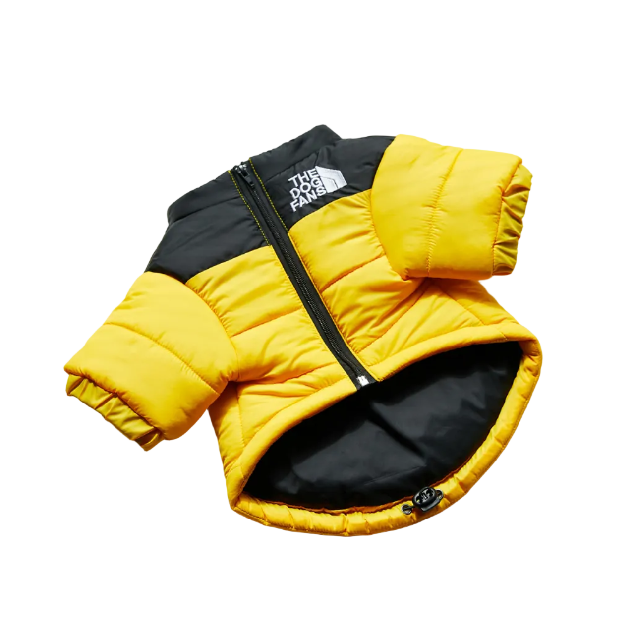 All-Weather Dog Jacket: Padded, Water-Resistant