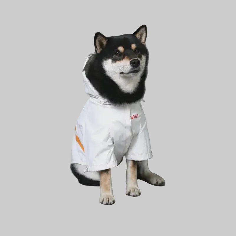 Reflective Dog Raincoat: Windproof, Hi-Vis
