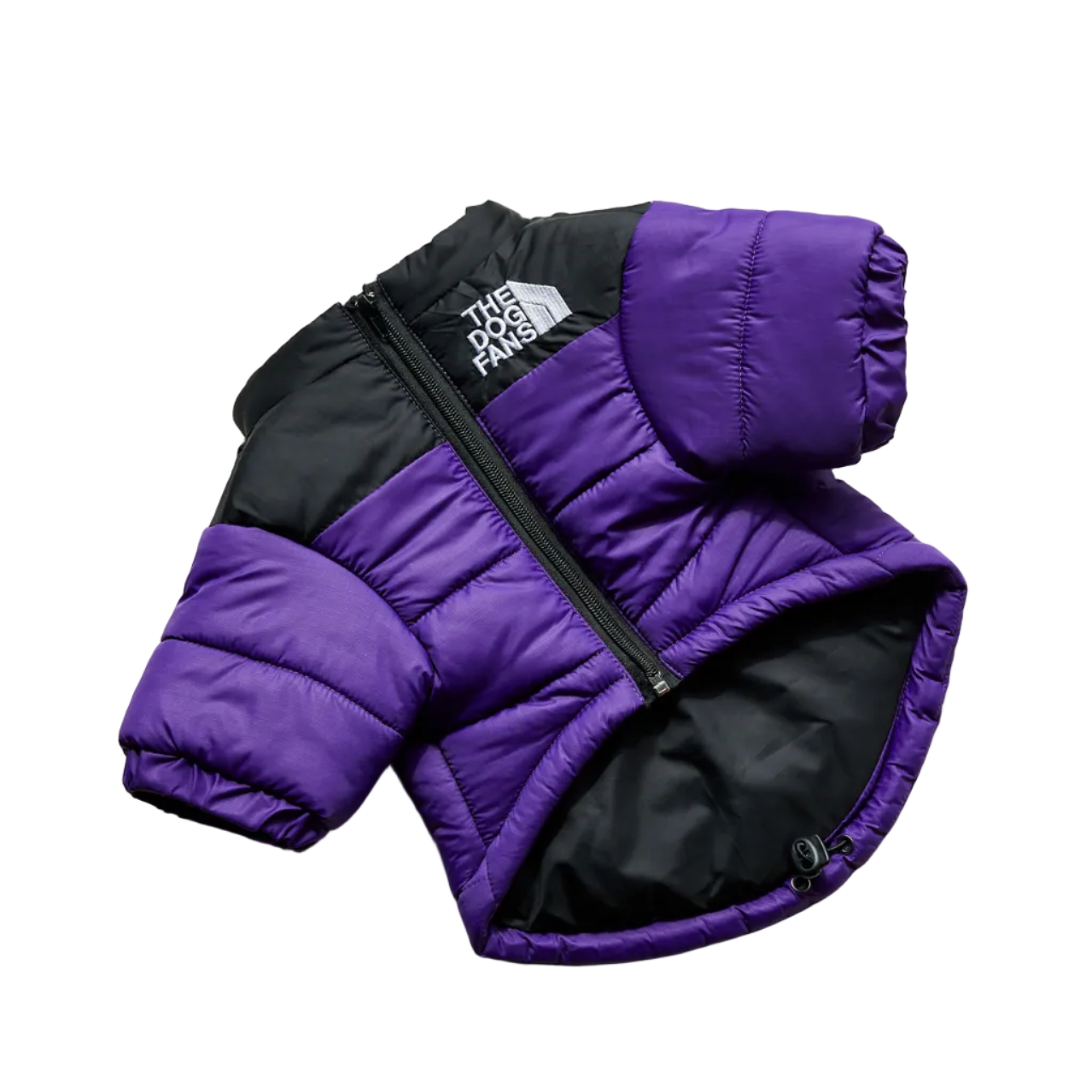 All-Weather Dog Jacket: Padded, Water-Resistant