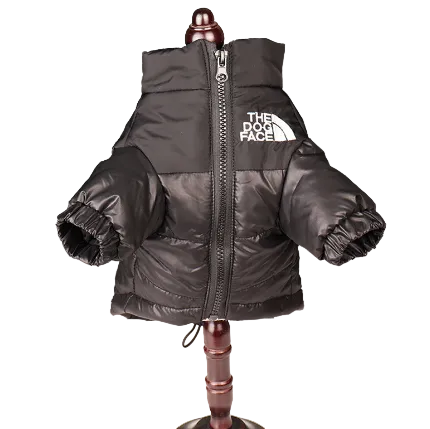 All-Weather Dog Jacket: Padded, Water-Resistant
