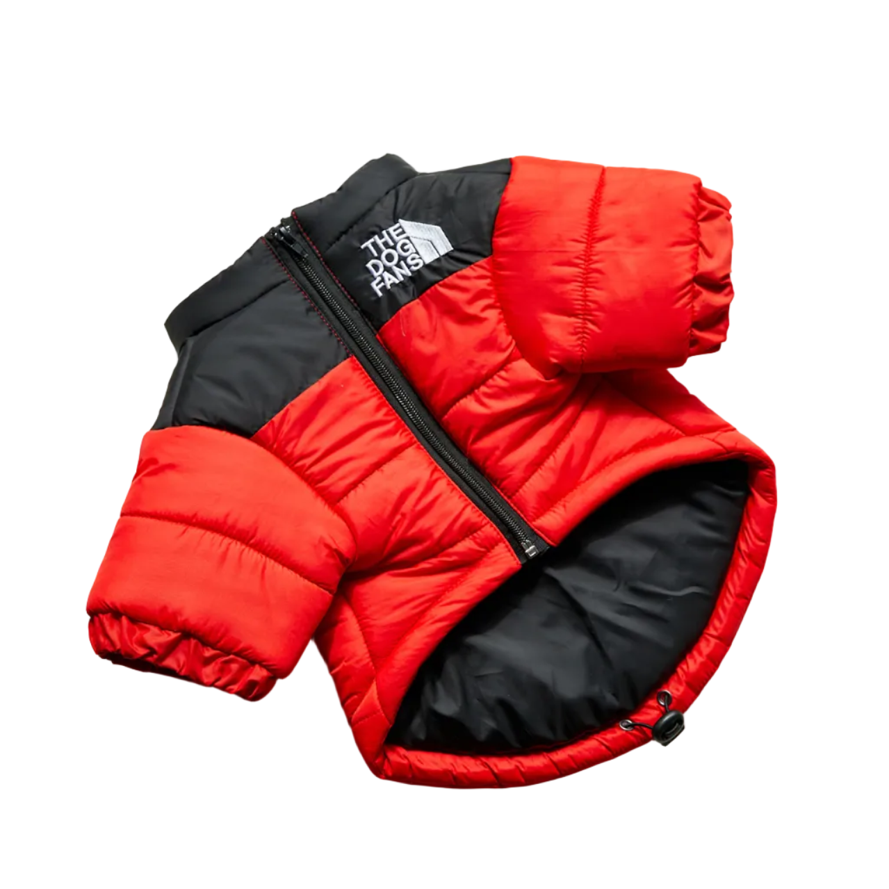 All-Weather Dog Jacket: Padded, Water-Resistant