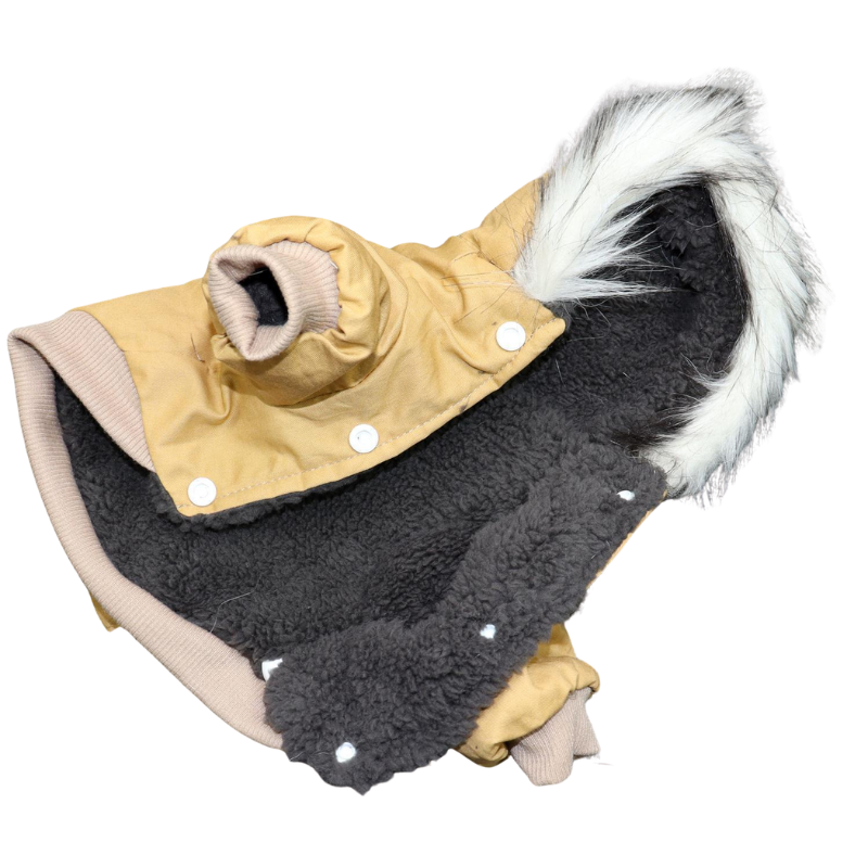 Padded Dog Coat: Cotton-Lined, Small Breeds