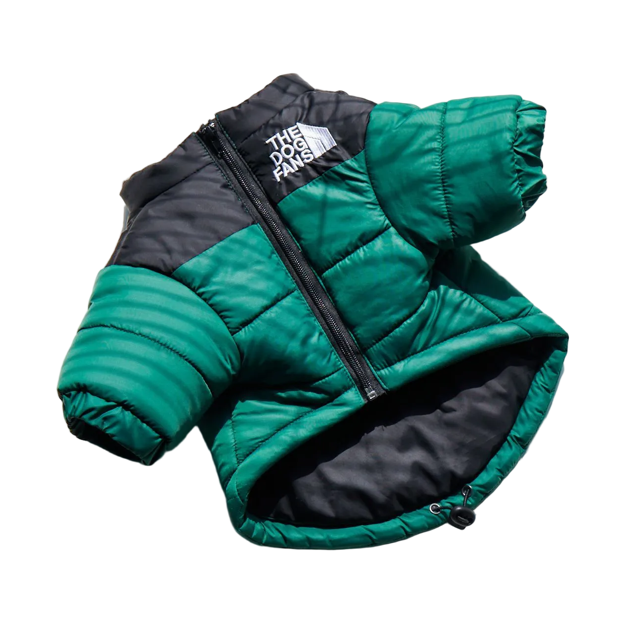 All-Weather Dog Jacket: Padded, Water-Resistant