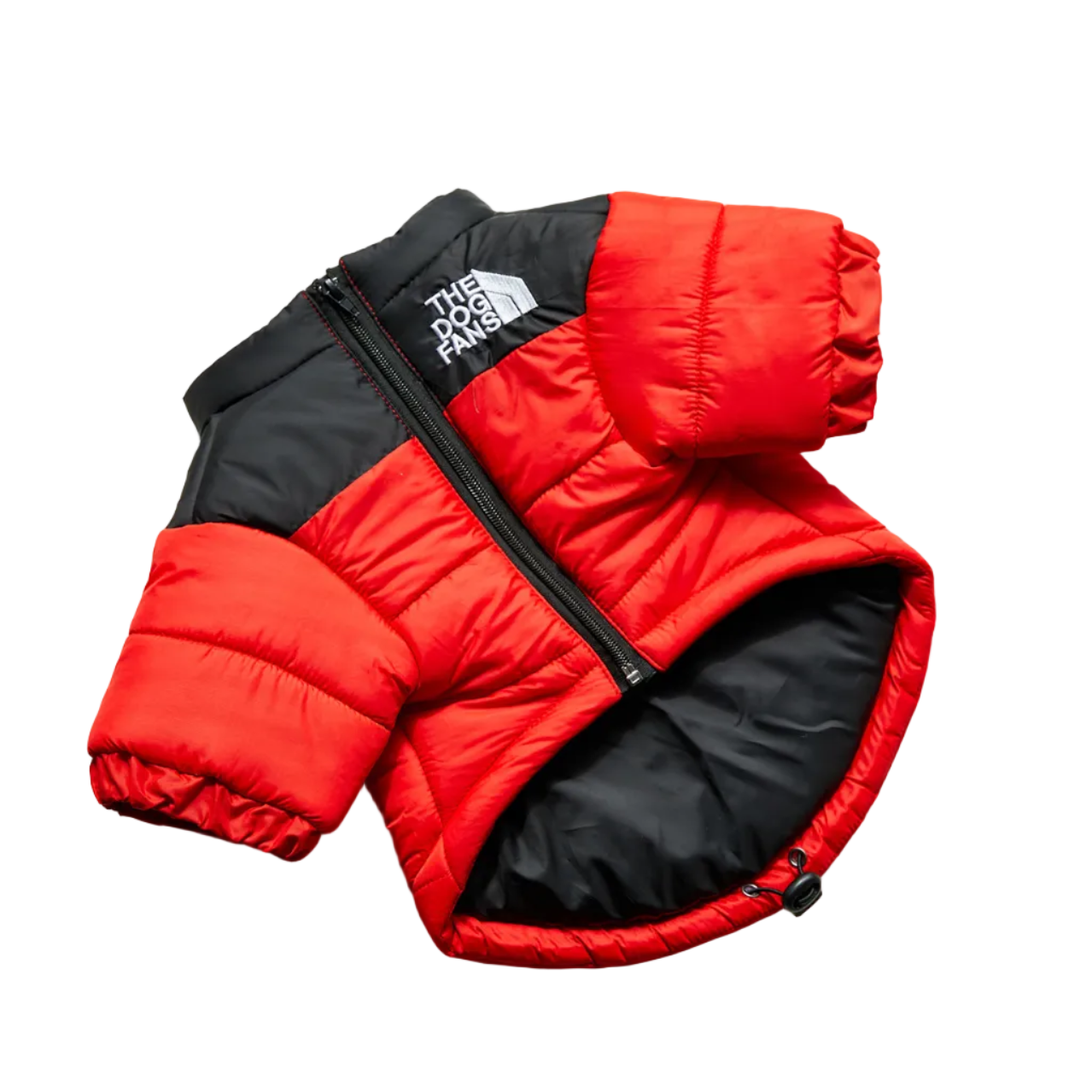 All-Weather Dog Jacket: Padded, Water-Resistant