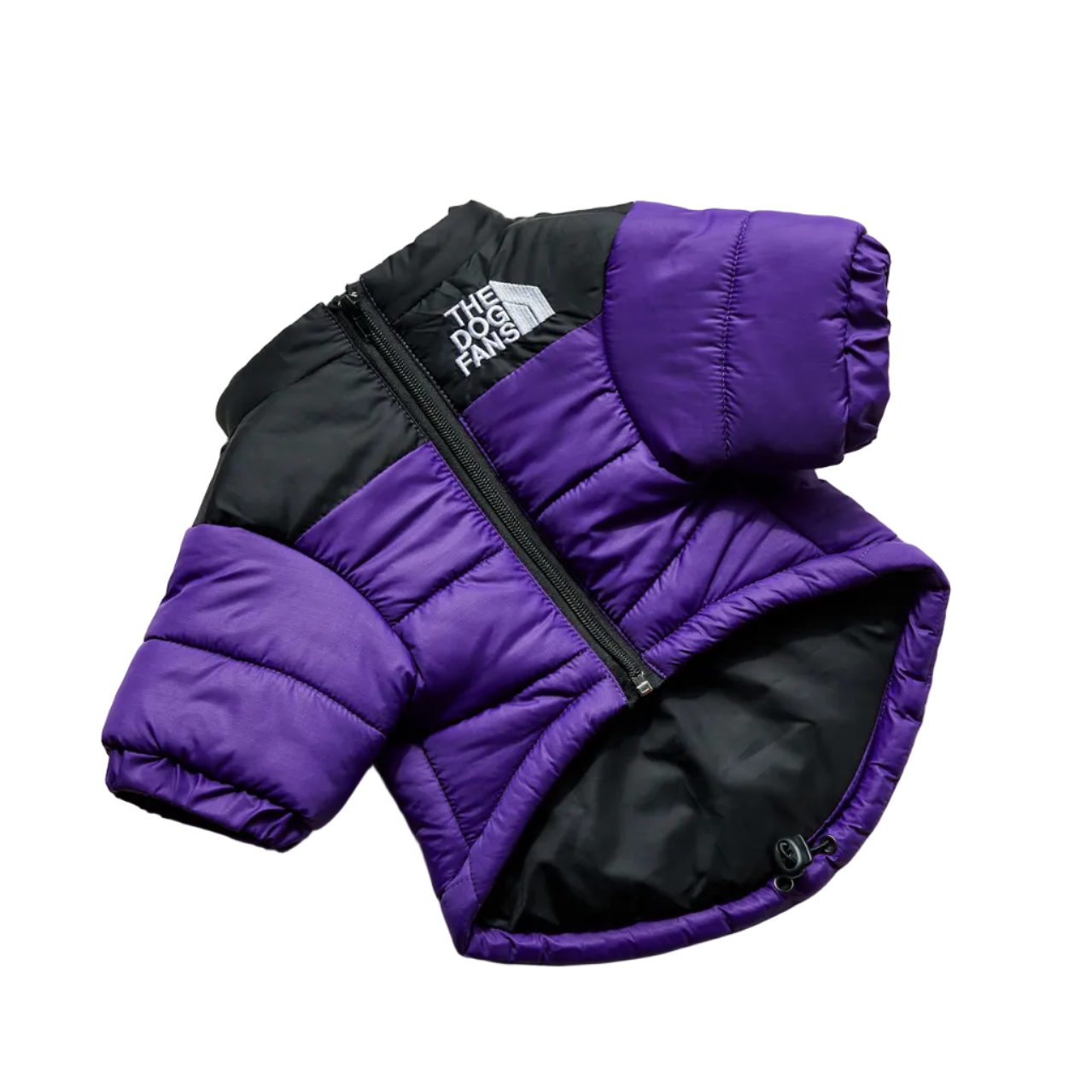 All-Weather Dog Jacket: Padded, Water-Resistant