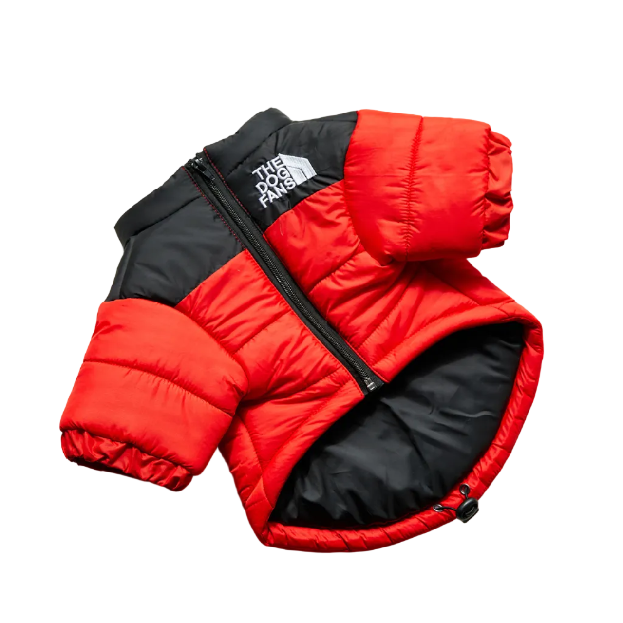 All-Weather Dog Jacket: Padded, Water-Resistant