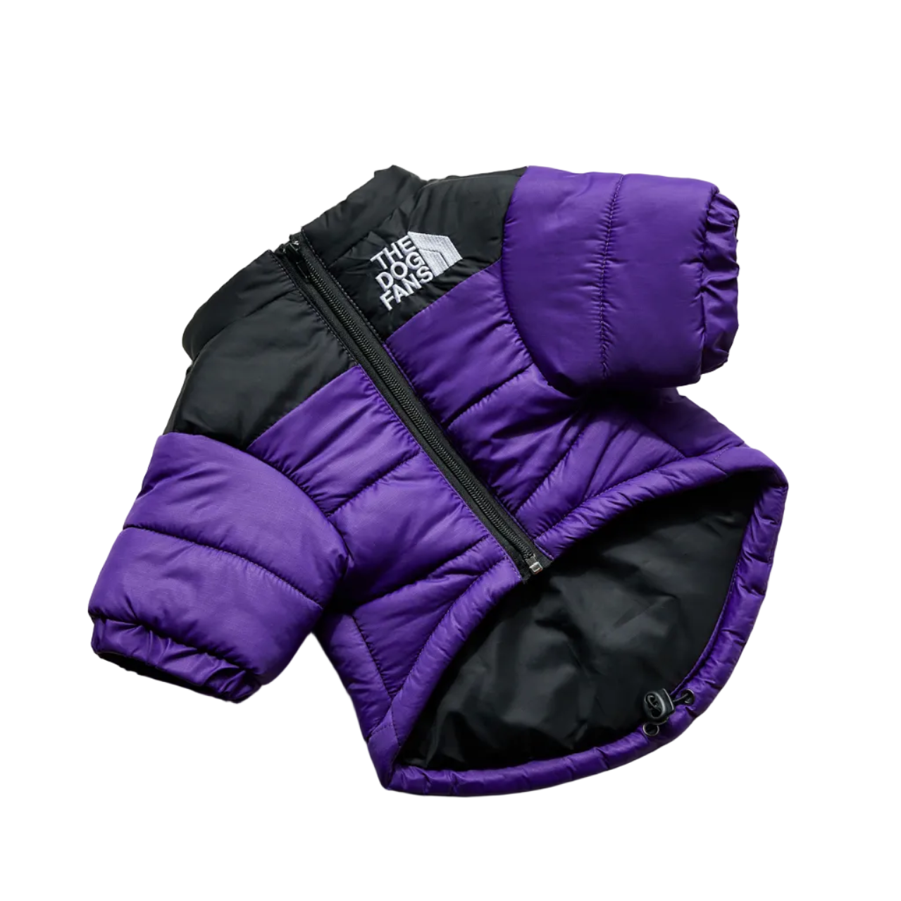 All-Weather Dog Jacket: Padded, Water-Resistant