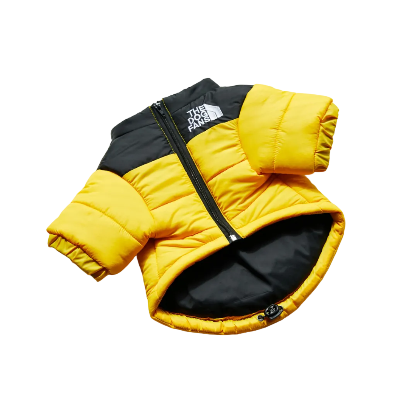 All-Weather Dog Jacket: Padded, Water-Resistant