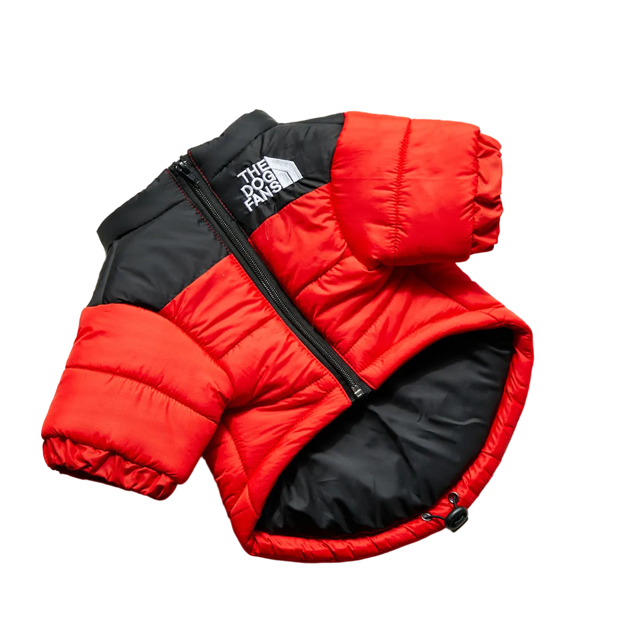 All-Weather Dog Jacket: Padded, Water-Resistant
