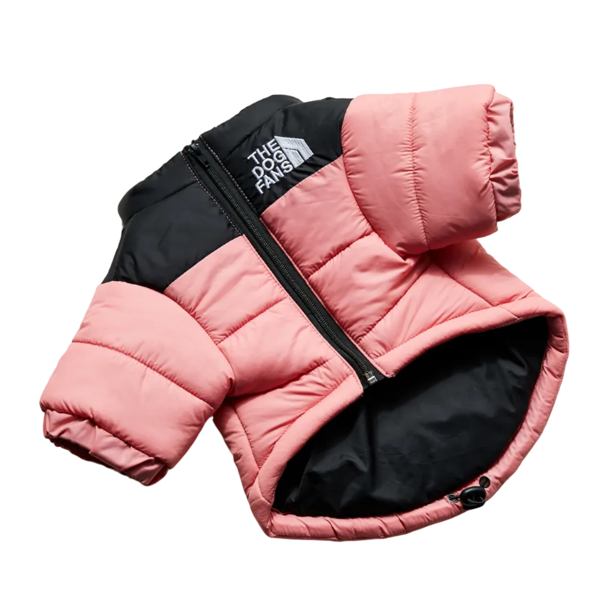 All-Weather Dog Jacket: Padded, Water-Resistant