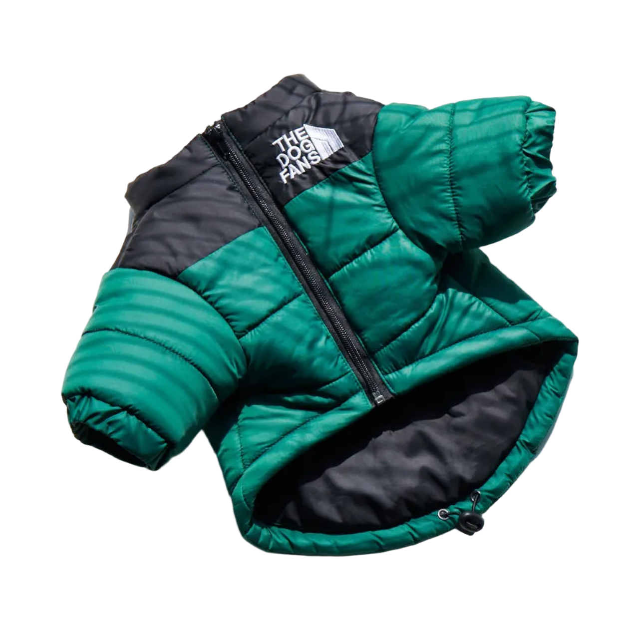 All-Weather Dog Jacket: Padded, Water-Resistant