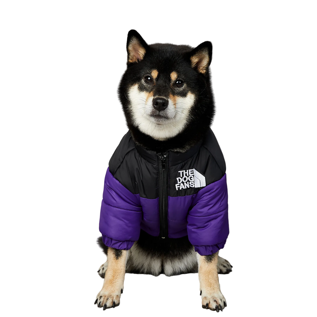 All-Weather Dog Jacket: Padded, Water-Resistant