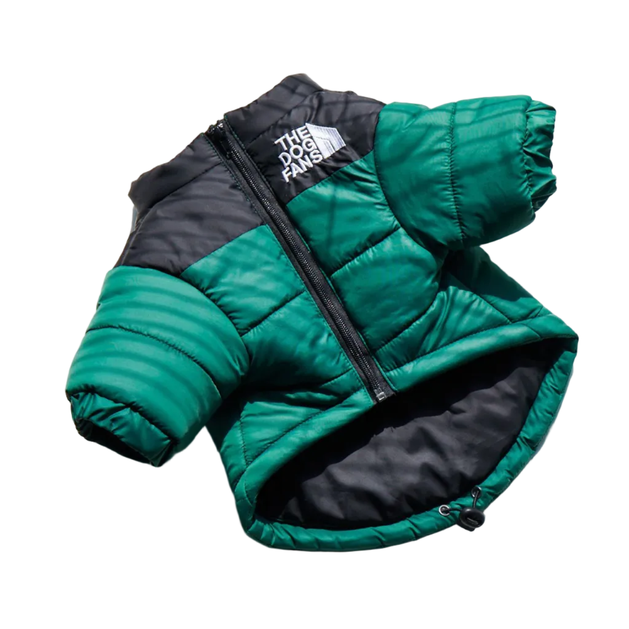 All-Weather Dog Jacket: Padded, Water-Resistant