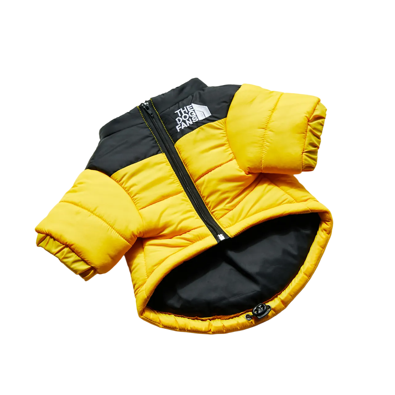 All-Weather Dog Jacket: Padded, Water-Resistant