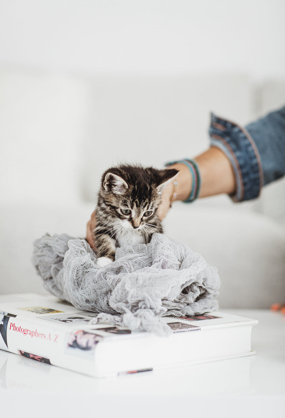 For cats